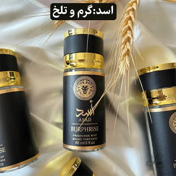 قیمت و خرید بادی اسپلش ادکلنی عربی اسد