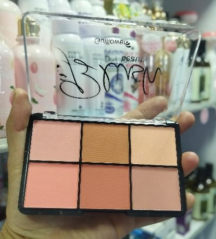 قیمت و خرید پالت رژگونه 6 رنگ گلفلور GULFLOWER - کد 313