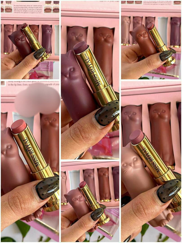 قیمت پک رژ لب کادویی 6 عددی میس رویال طرح گربه MISS ROYAL